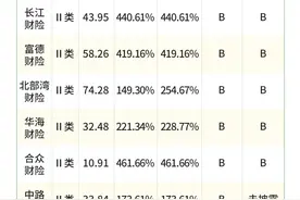 89家财险公司，36家未迈过偿付能力测评门槛图片