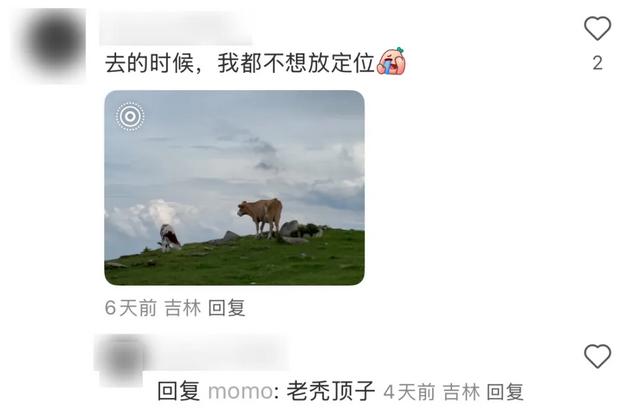 东北“屁股沟”，成了年轻人的瑞士平替