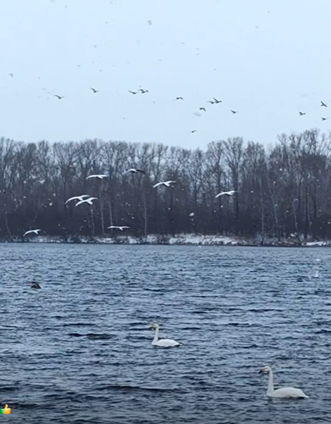 合肥62岁退休女子自驾奔赴西伯利亚去看极光