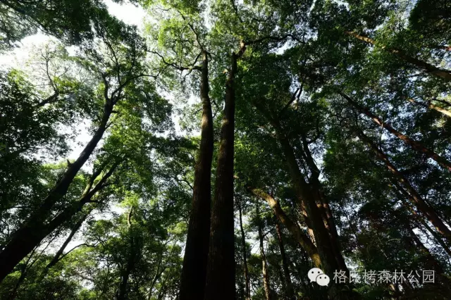 秋初凉意起！三明这些 “绿野仙踪” 藏不住了，随手拍都出片