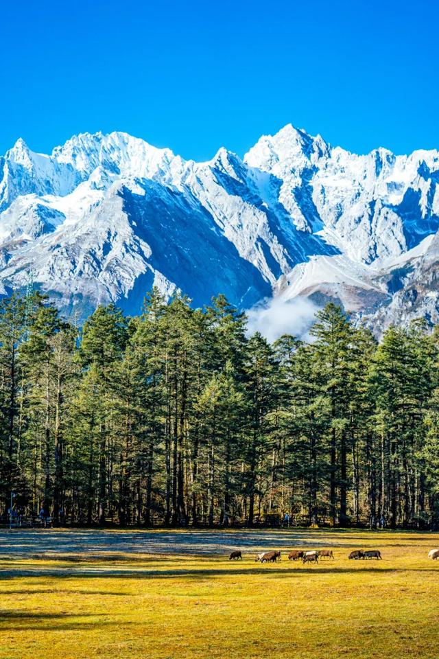 12月，去云南→踏雪而行，向山而去