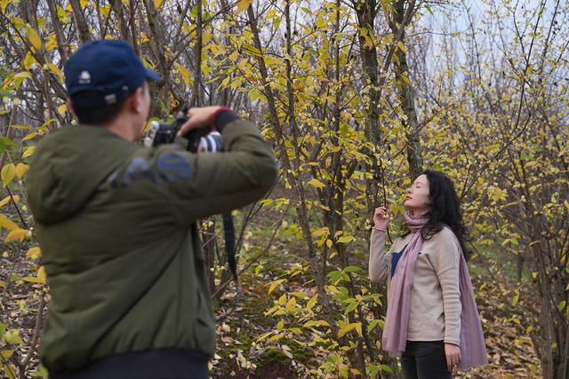 图片新闻｜北碚：蜡梅芬芳迎客来