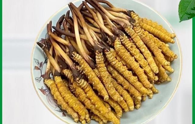 从三江源到黄浦江：果洛风物，申情相逢