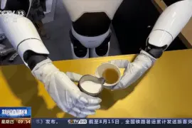 2023世界机器人大会十大应用场景玩转“机器人+”图片