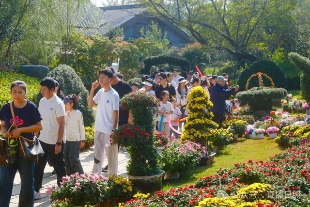 日照天台山旅游区人气爆棚！