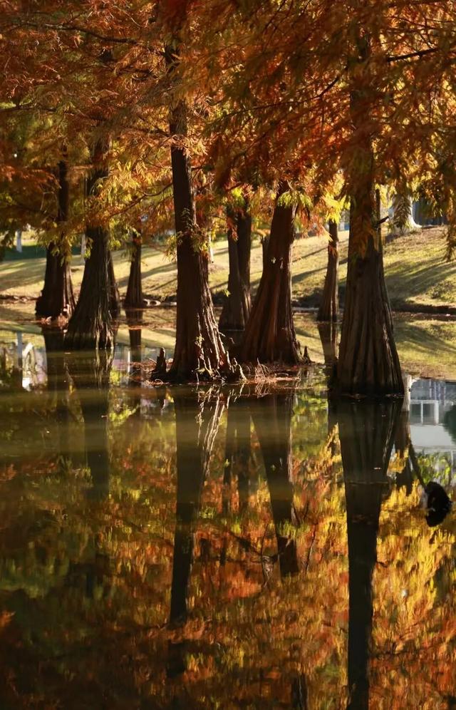 人人人人人!今天常州热度爆了