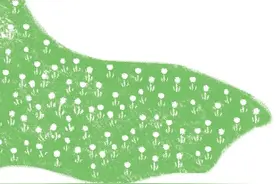 急！想躺“坪”了，五一假期找个草坪搭子！图片