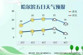 暴跌至个位数！哈尔滨接下来……图片