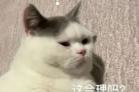 刚清理4天，又印满墙！行政执法部门：限期恢复！图片