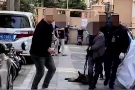上海警方上门抓德牧？当地称犬主无证饲养烈性犬，系主动交出图片