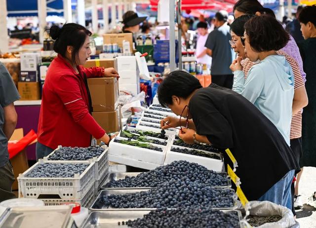 东北秋景天花板，错过再等一年