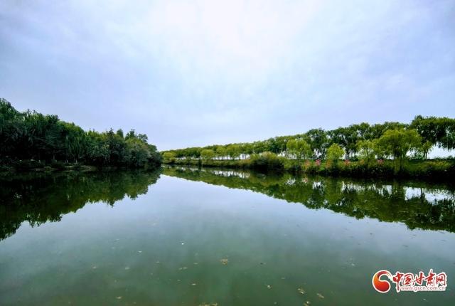 祁连山下是我家丨高台县：湿地保护与绿色发展绘就生态惠民新画卷