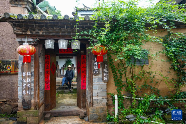 云新闻关注丨诗意旅居，云岭初冬氛围感超绝！