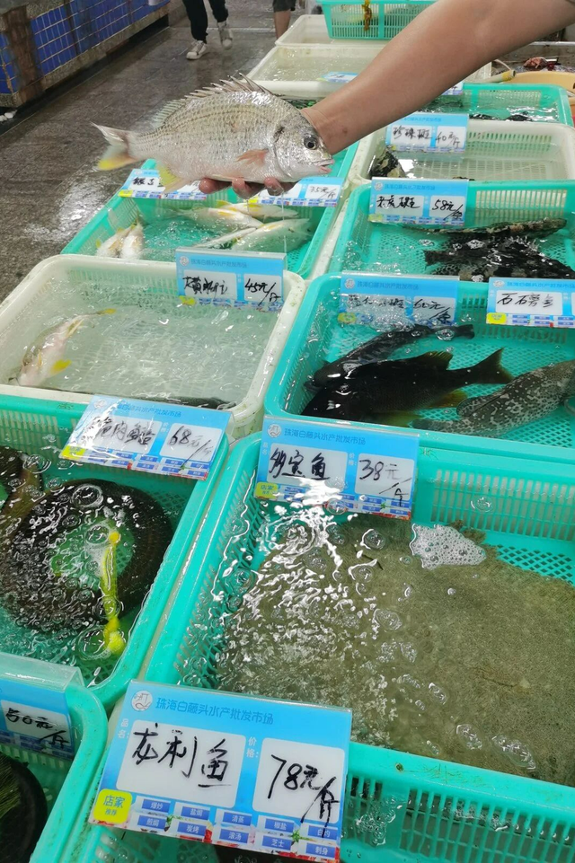 珠海，连早晨都如此浪漫！