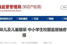 新疆维吾尔自治区市场监督管理局通报2024年婴幼儿及儿童服装 中小学生校服监督抽查情况图片