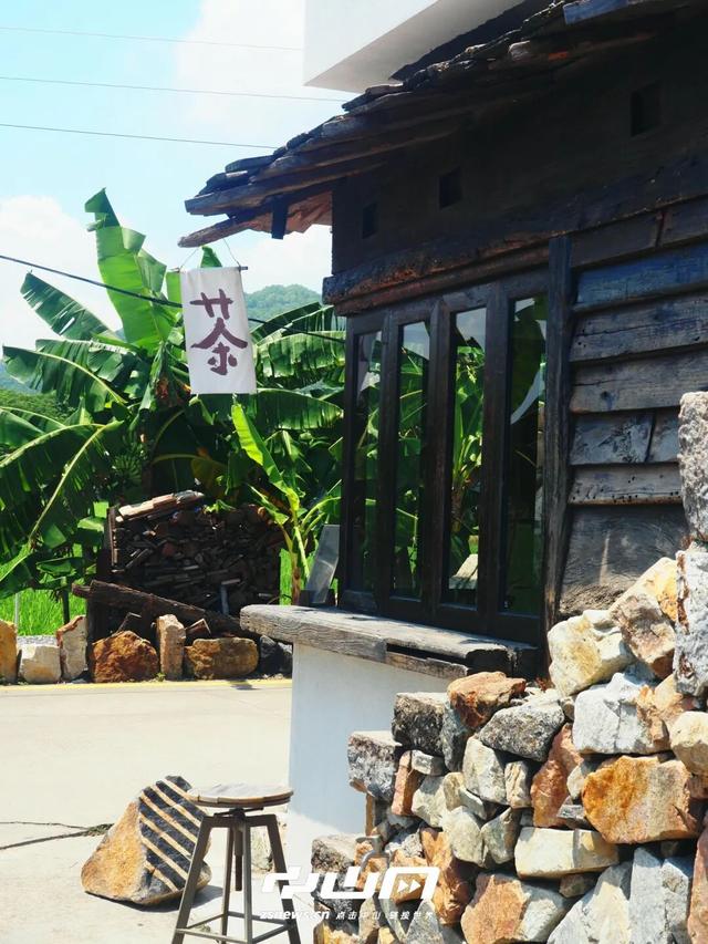 千万粉丝博主打卡中山花海：好美！