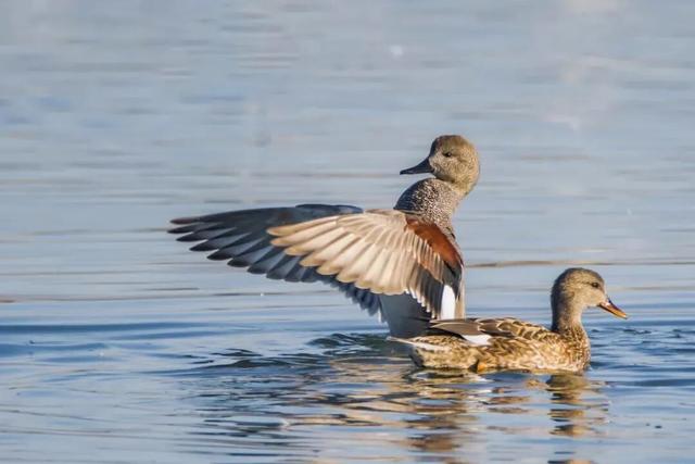来保山，让冬日住进22℃的温柔里！