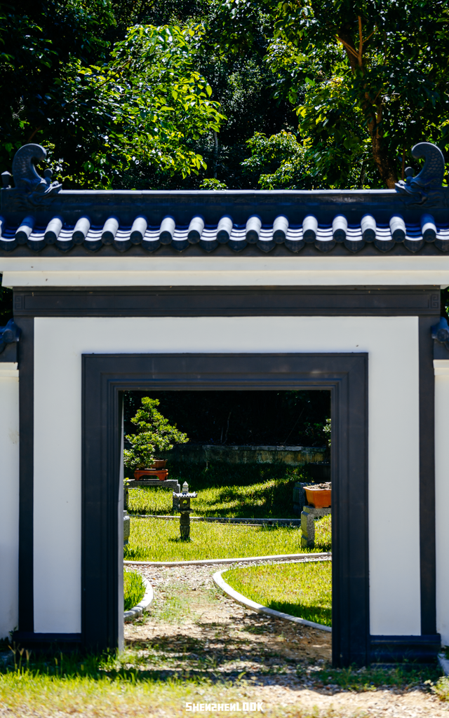 “深圳被严重低估的绿道，人少好发呆”