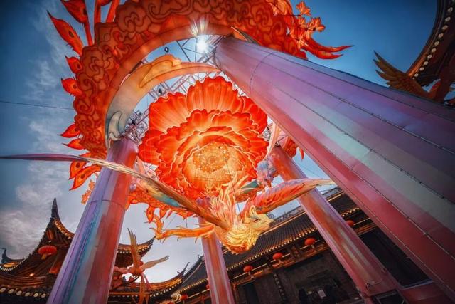 门东新“顶流”！一棵美到让全南京排队围观的树！