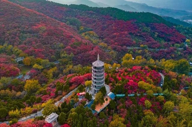 从云端到山野，济南这两地入选省级案例！你打卡过吗？