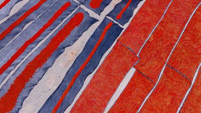 好品中国丨“我姓柴，柴达木的柴”