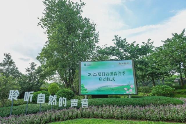 绿美云山丨以森林入药 漫享云山身心疗愈