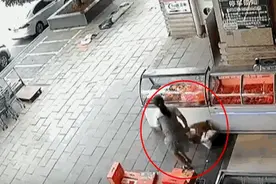 一恶犬扑咬幼童，狗主人已找到图片