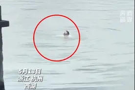 短短几十秒却是生死！被全网点赞的老记者，找到了！图片