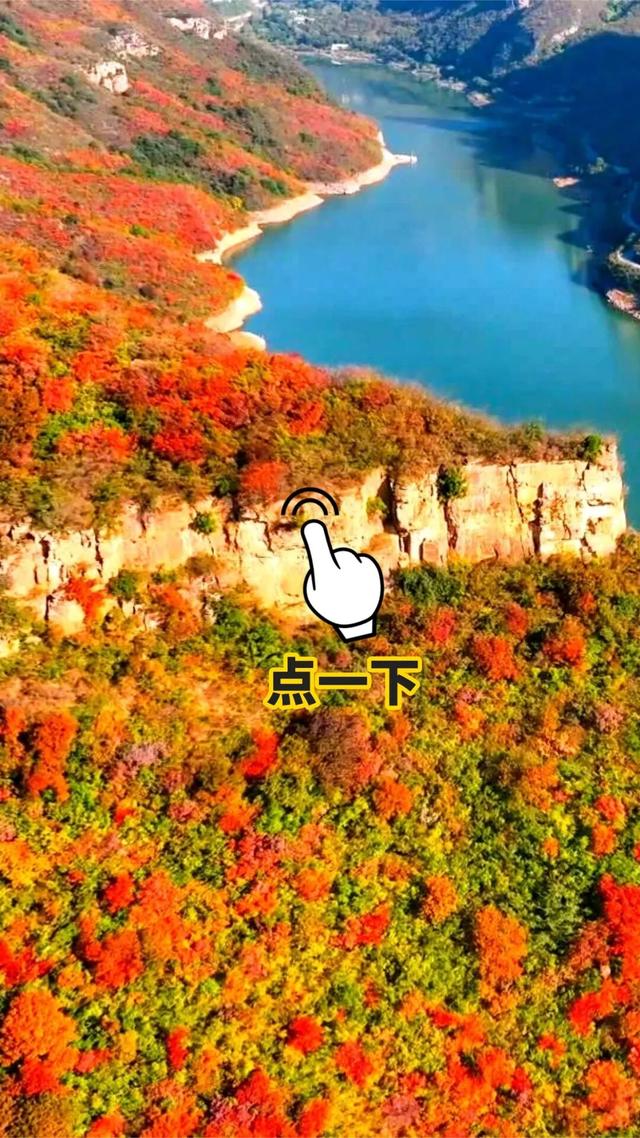 你拍的红叶总“差点意思”？问题可能出在第一步！