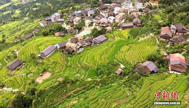 广西侗乡梯田美景入画来
