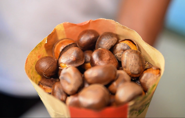 秋游六安看彩林 冬来滑雪泡温泉