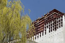布宫脚下春意盎然图片