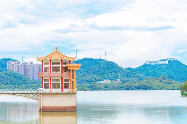 7公里黄金绿道！一天尽揽湖光山色