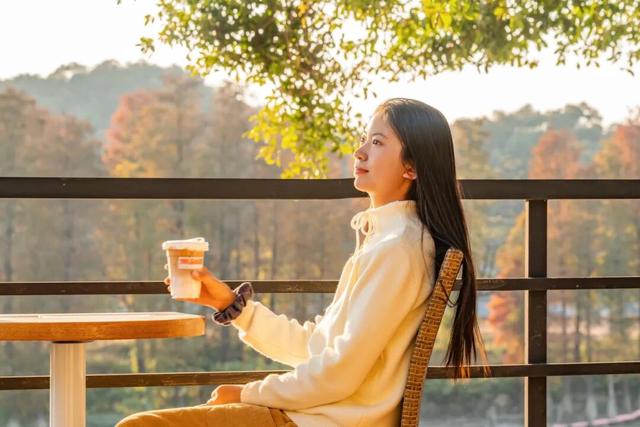 里水落羽杉红了！这些打卡点最出片→