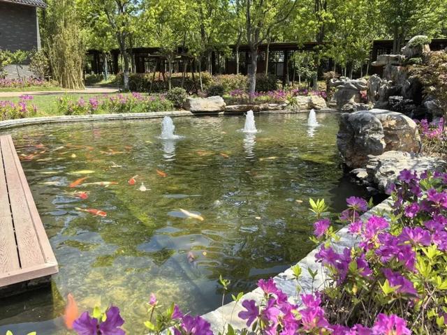 句容的外面是什么？