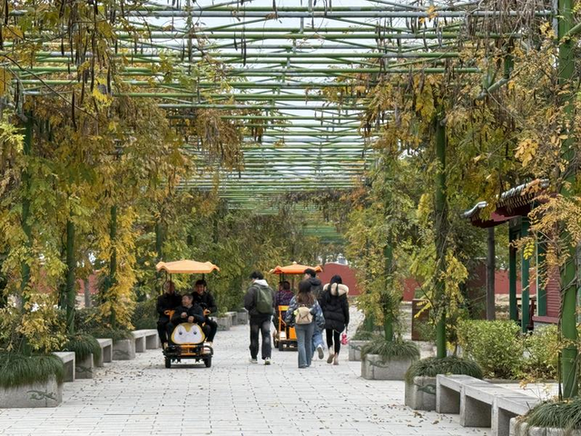 首周！东阳近20000人次参与这个活动