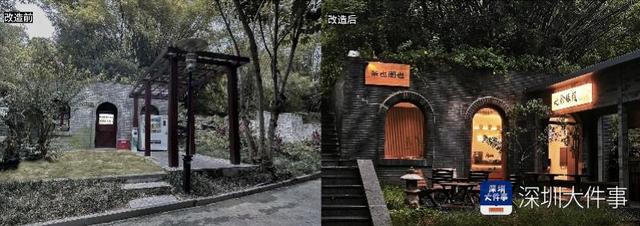 这个公园有了大变化！深圳园博园用公园打开城市新生活方式