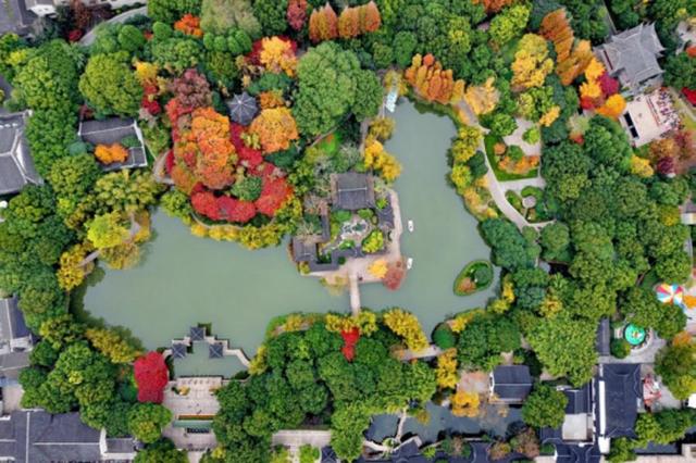 请查收美图！这么美的奉贤，你见过吗？