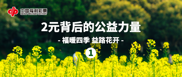 财政部：2024年中央财政安排彩票公益金支出793.62亿元