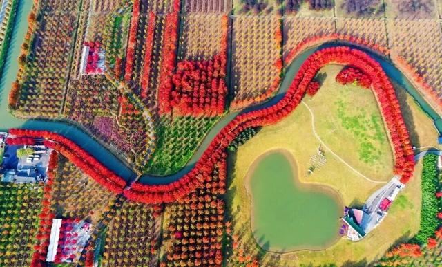 11月，是时候来一趟徐州了