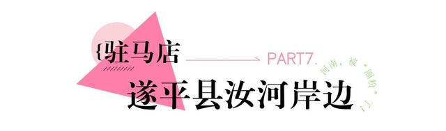 河南，被圈“粉”了！