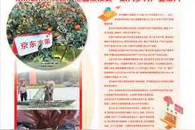 京东超市：打造产地直发模式 助力乡村产业振兴图片