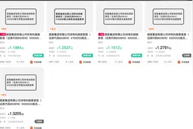 顾家集团股份拍卖“无人问”，套现超88亿元仍难填6.53亿元债务缺口？| 大鱼财经图片