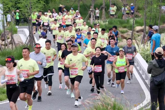 想撒野，来紫帽！