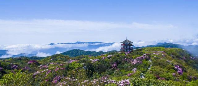 会员风采 | 来金佛山探秘喀斯特奇观
