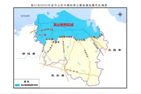 海南多地发布！这些地方禁燃烟花爆竹图片