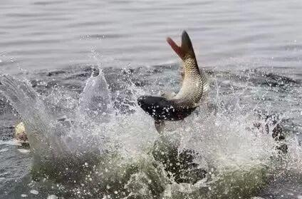听我的！跨年直接冲包头