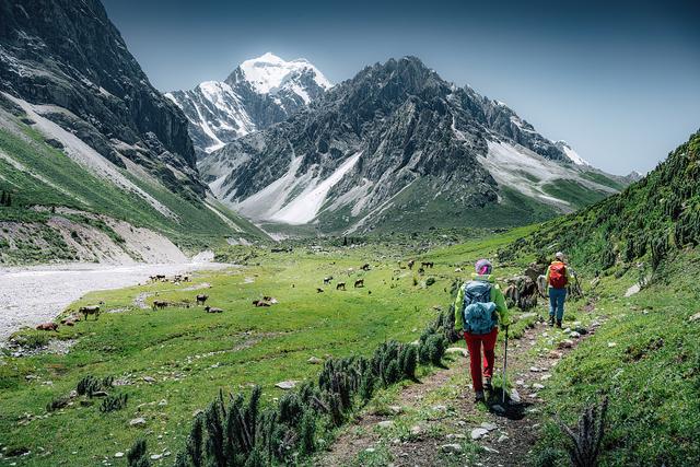 无证也能当领队 户外活动组织乱象频出 记者调查→