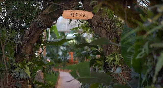 就在达州耍秋假！多个景区官宣：免票、半价