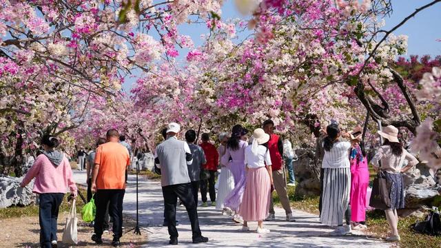 陵水过冬指南：除了晒太阳，还能这么玩！